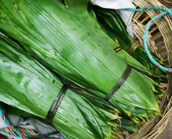真正的粽叶是什么叶子 正宗的粽子叶是什么叶子