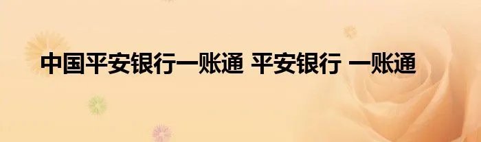 中国平安银行一账通 平安银行 一账通