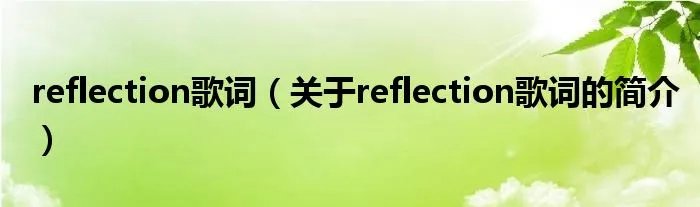 reflection歌词(关于reflection歌词的简介)