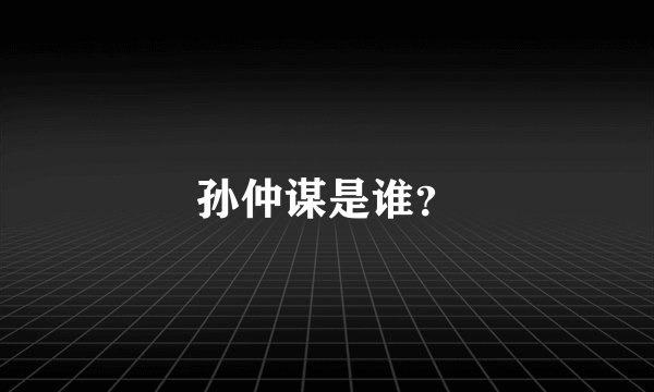 孙仲谋是谁？