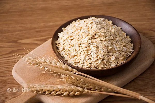 热量最低的主食排行