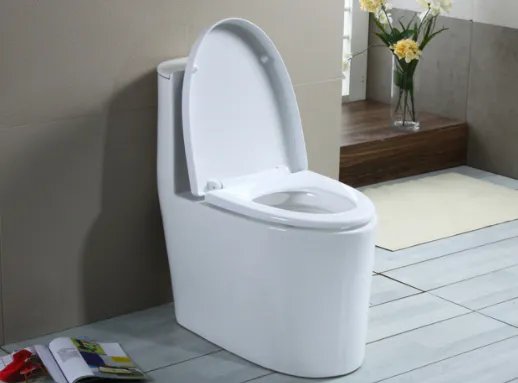 马桶内部结构是什么