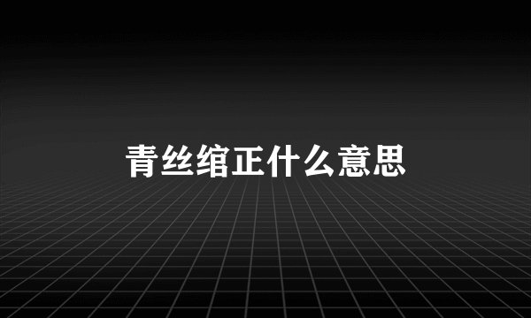 青丝绾正什么意思