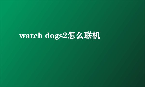 watch dogs2怎么联机