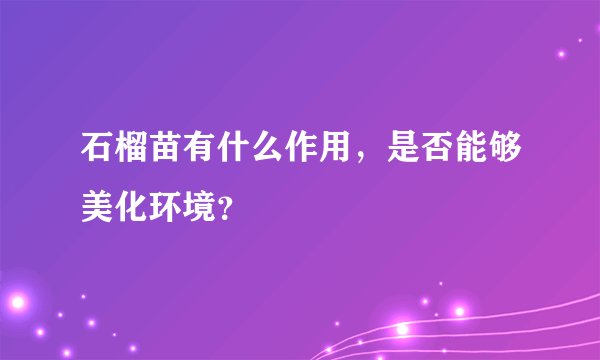 石榴苗有什么作用,是否能够美化环境?