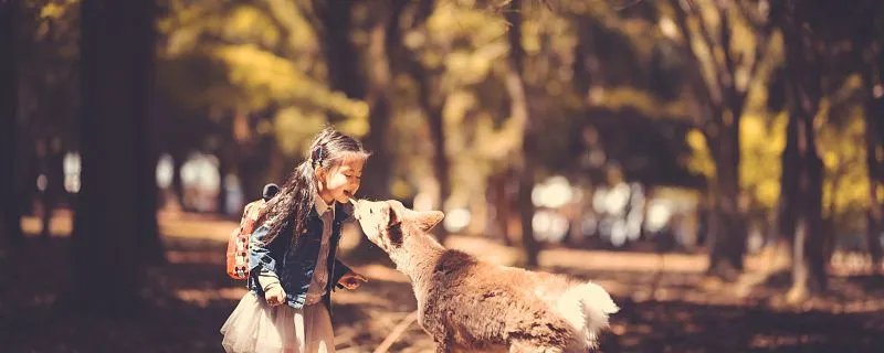 与时尚相关的名字 时尚的名字大全