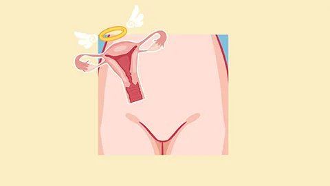 宫脱是怎么形成的