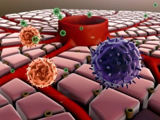 诺罗病毒的症状以及应对方法