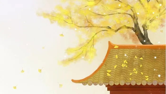 木槿花西月锦绣结局