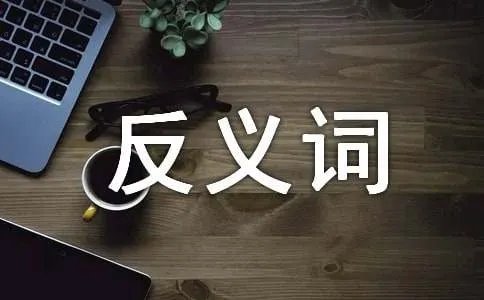 软弱的反义词是什么