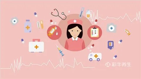 猪脾的功效与作用