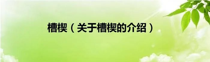 槽楔（关于槽楔的介绍）