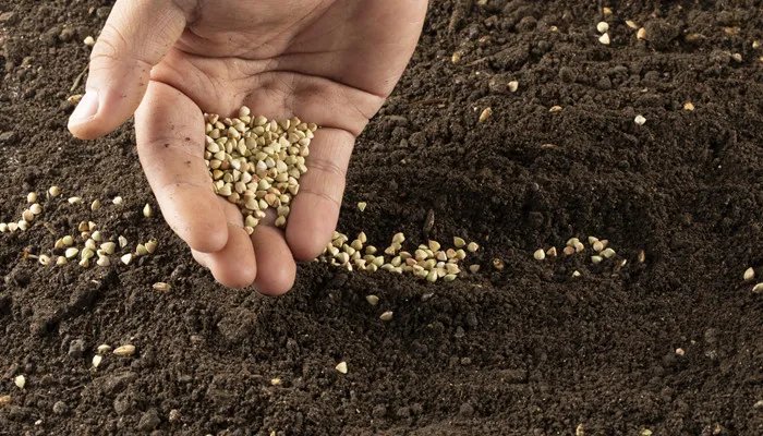 土地是可再生资源吗 土地是再生资源还是不可再生资源