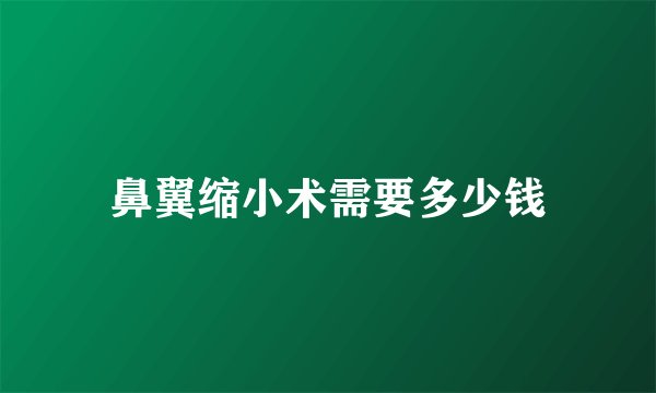 鼻翼缩小术需要多少钱