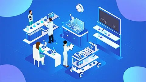 三七花的功效与作用