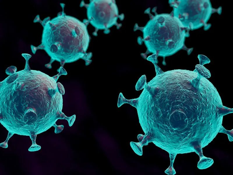 诺瓦克病毒的症状和预防