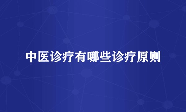 中医诊疗有哪些诊疗原则