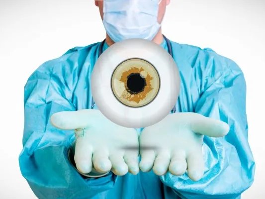 埃博拉病毒的传播途径是什么