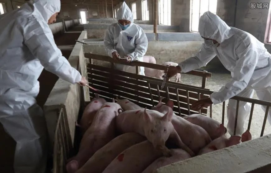 现在养殖什么最赚钱 以下四种养殖业值得推荐