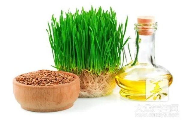 胚芽发育成什么