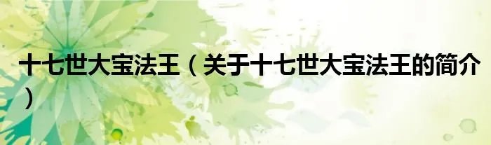 十七世大宝法王（关于十七世大宝法王的简介）