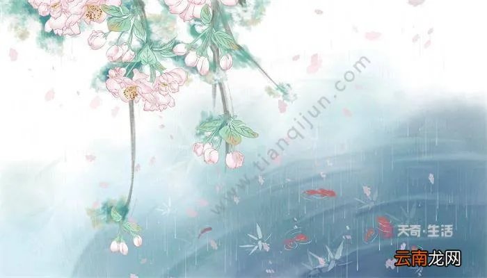 飒飒秋雨中,浅浅石榴泻什么意思飒飒秋雨中,浅浅石溜泻的意思是什么