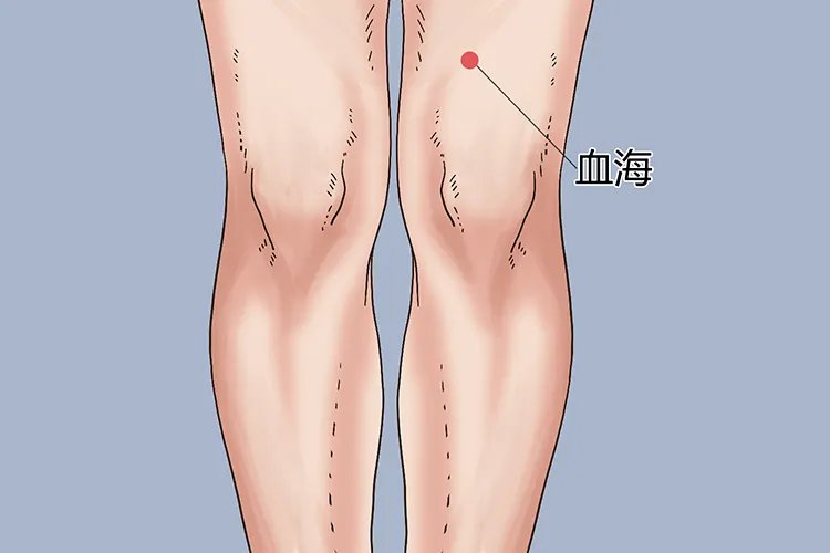 排瘀的具体部位图