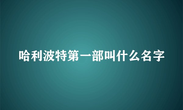 哈利波特第一部叫什么名字