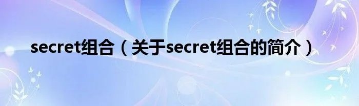 secret组合（关于secret组合的简介）