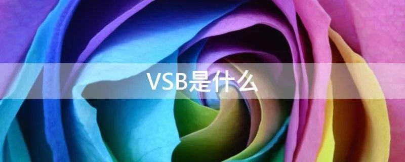 VSB是什么