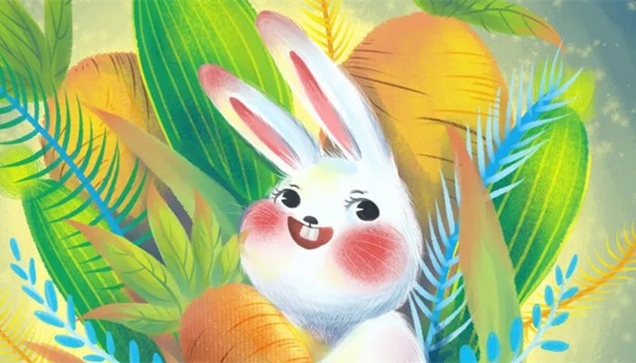 87年属兔什么命 1987年属兔的人是什么命