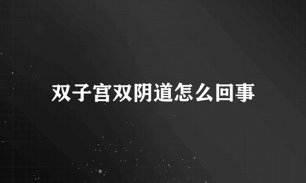 双子宫双阴道怎么回事