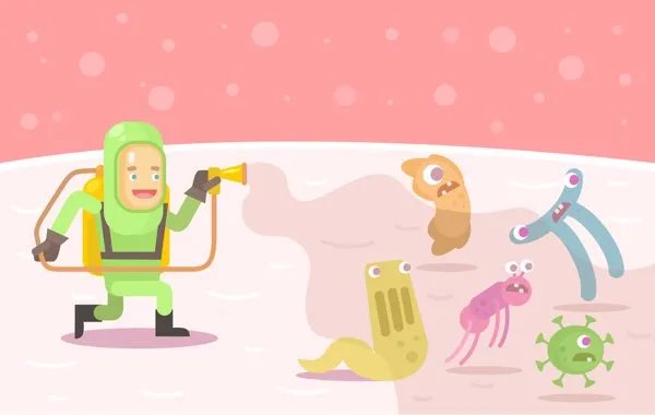 如何消灭蜘蛛的方法