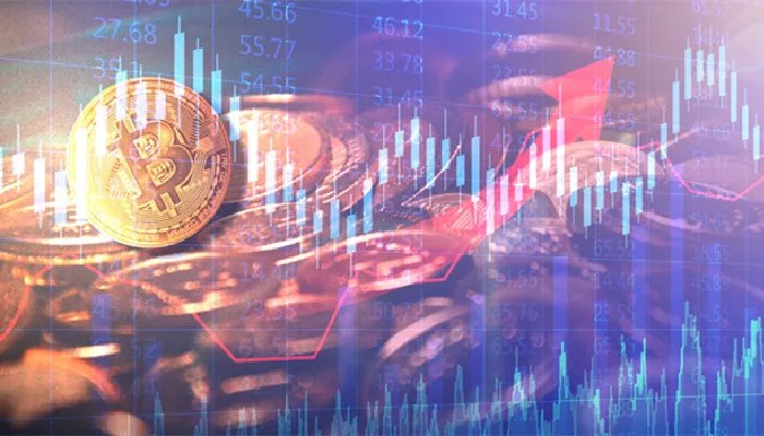 双头是什么意思 双头到底是什么意思