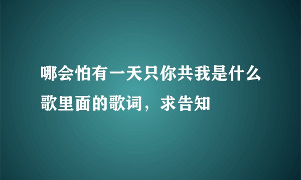 哪会怕有一天只你共我是什么歌里面的歌词，求告知