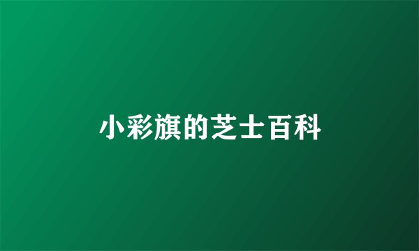 小彩旗的芝士百科