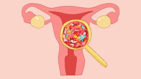 阴道清洁的方法