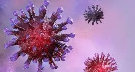 猴痘已在欧洲发生大规模社区传播，如何阻止这种病毒进入我国？