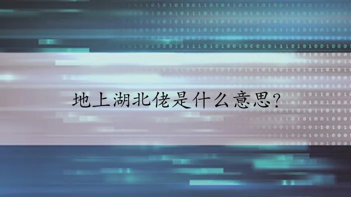 地上湖北佬是什么意思？