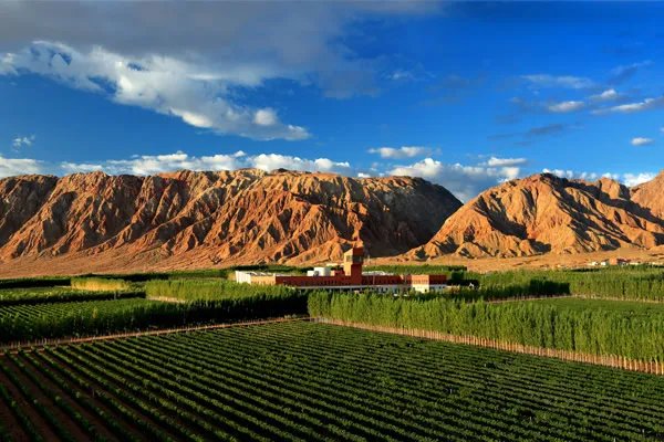 世界十大葡萄酒庄园 世界红酒庄园