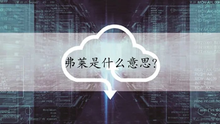 弗莱是什么意思？