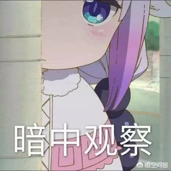 怎么做脚本外挂？