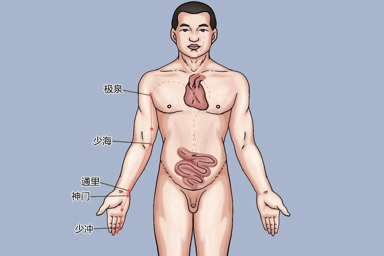 经络十二经脉图解