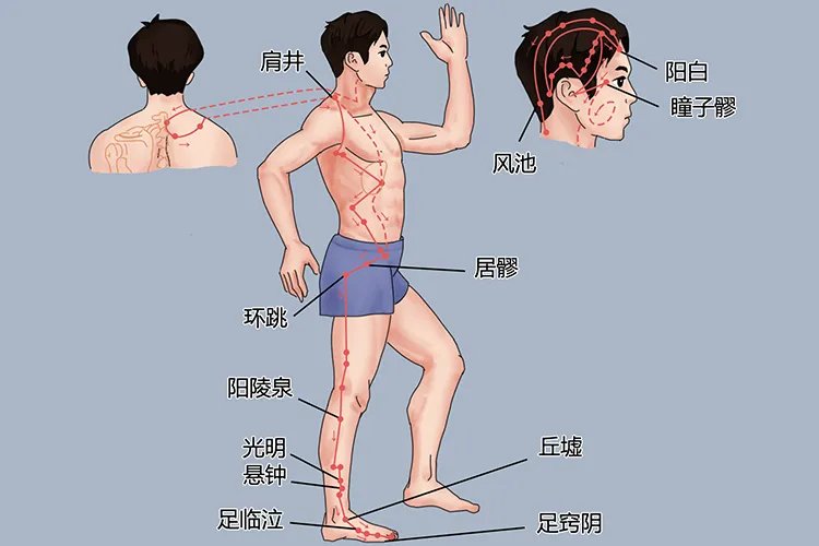 中医按摩经络图