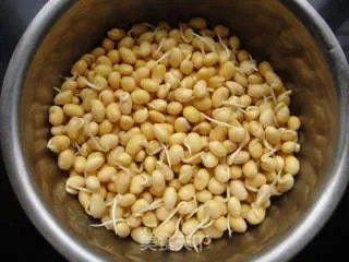 自制黄豆芽