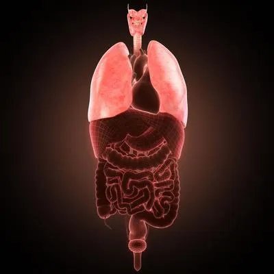 阿米巴肠病怎么检查