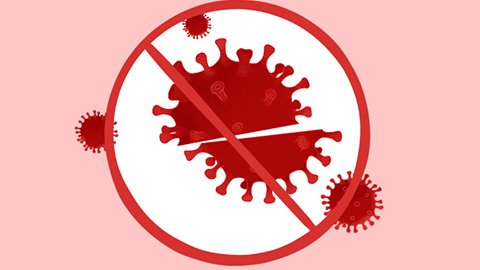 桦树液的作用与功效