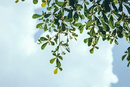 戊戌日是什么日子,2023年戊戌日是哪一天