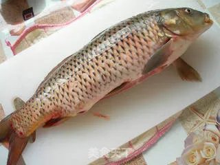 清蒸鲤鱼