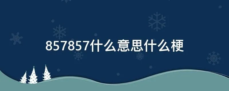 857857什么意思什么梗